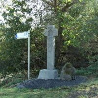 000021320171994__Kreuz13c