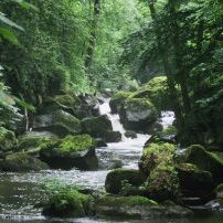 An der Rauschermühle