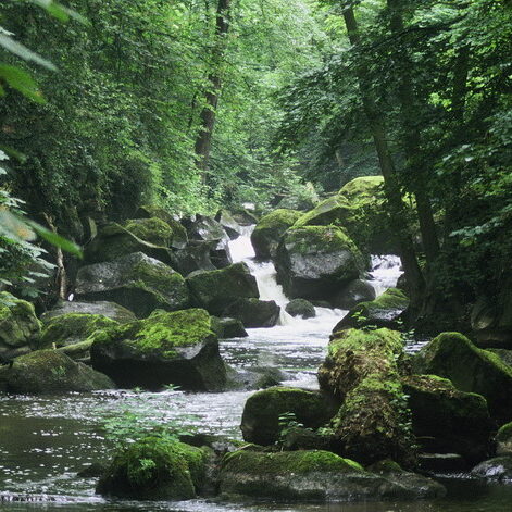 An der Rauschermühle