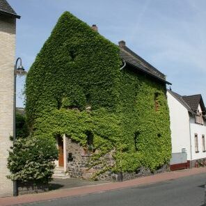 Och07