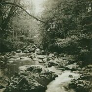 Rauscherpark_1918