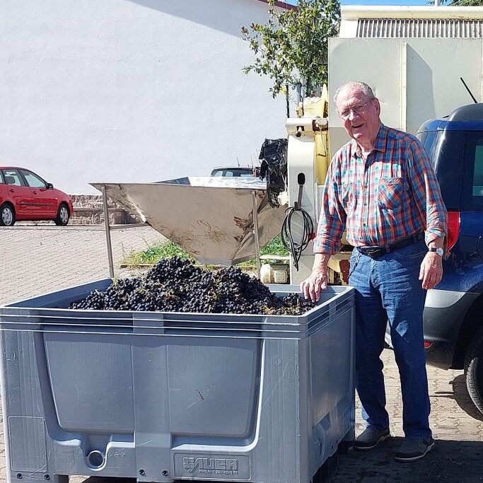 Sichtlich zufrieden ist Berni Cornet mit der diesjährigen Weinernte.